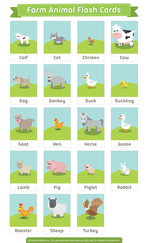 printable-farm-animals-flash-cards