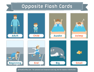 Opposite Flash Cards