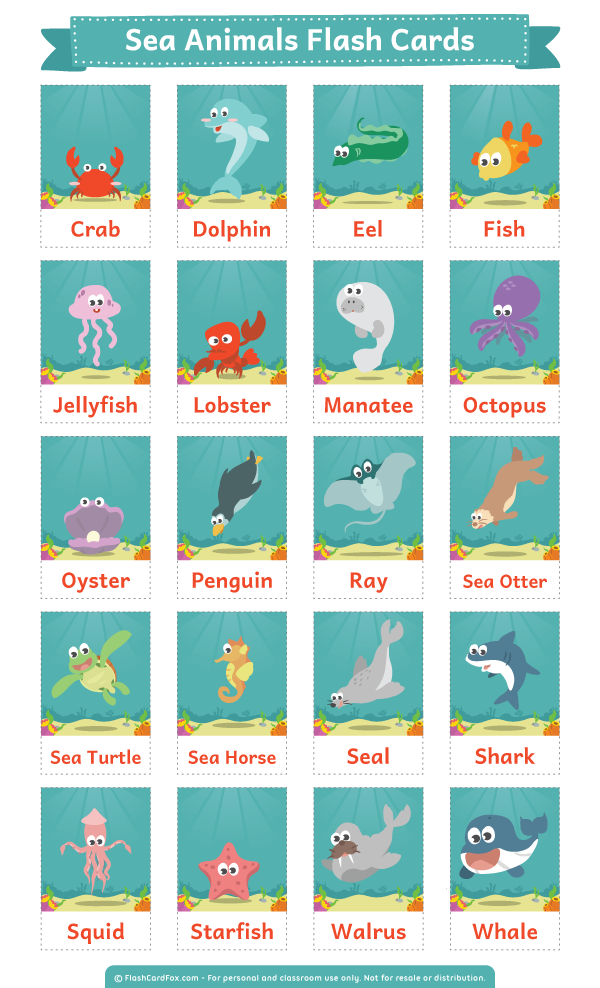 Printable Sea Animals Flash Cards
