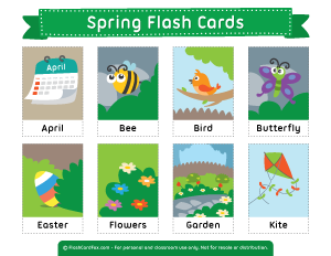 Spring Flash Cards