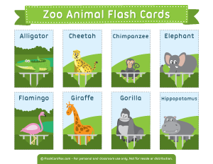 Zoo Animal Flash Cards