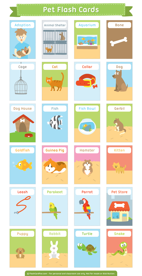Printable Pet Flash Cards