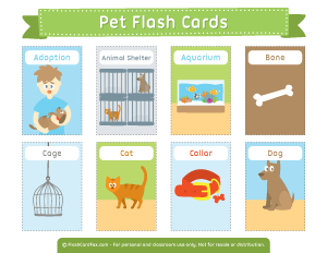 Pet Flash Cards