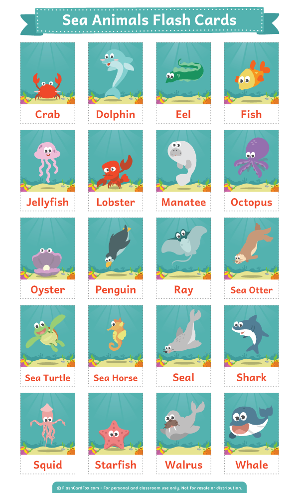 printable sea animals flash cards