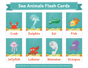 Sea Animals Flash Cards